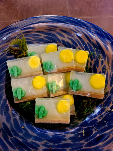 Desert Darlin Soap!