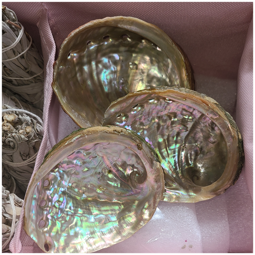 Abalone Shell Smudge Bowl