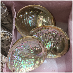 Abalone Shell Smudge Bowl