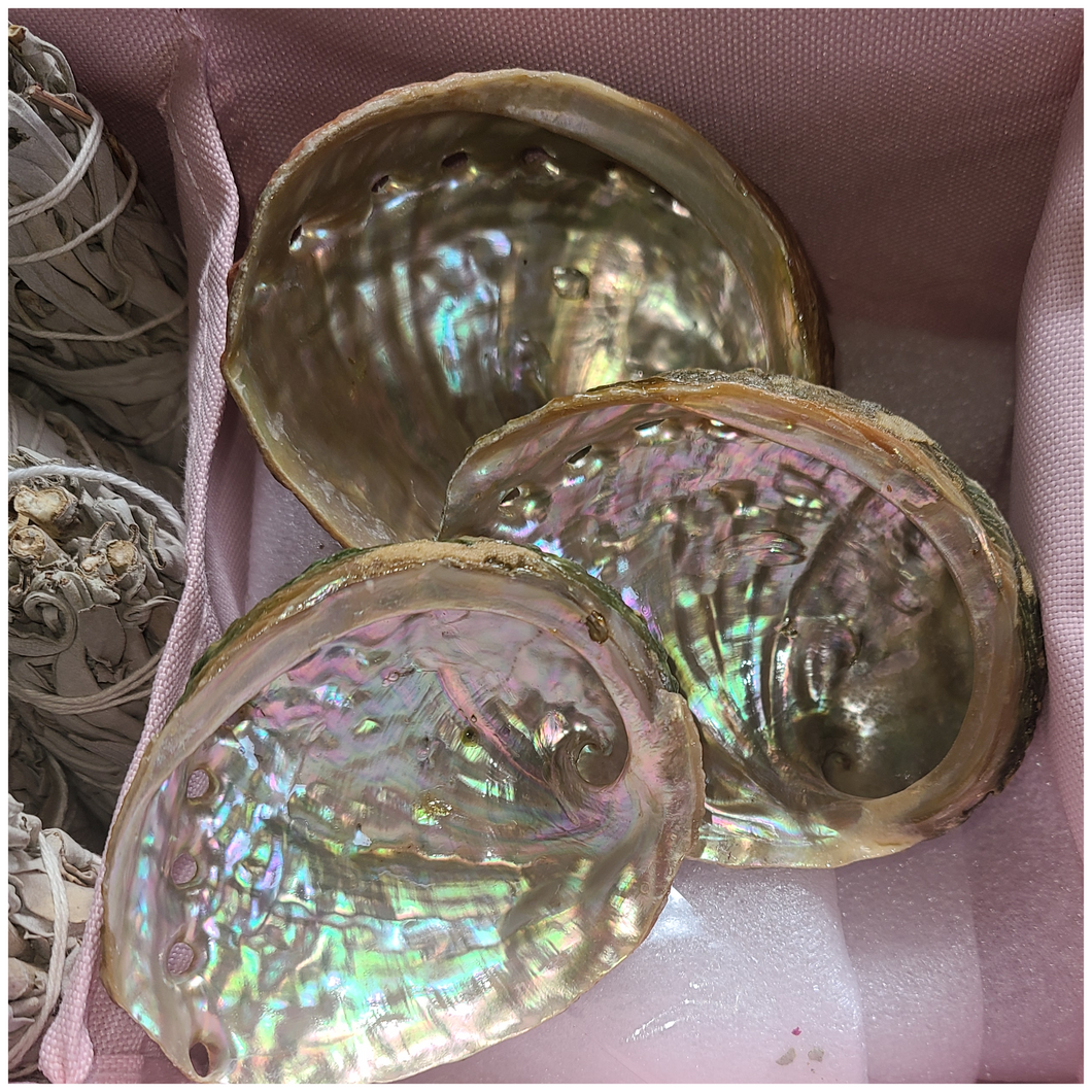 Abalone Shell Smudge Bowl