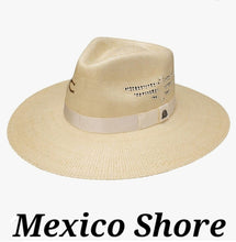 CHARLIE 1 HORSE - Mexico Shore!