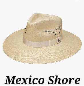 CHARLIE 1 HORSE - Mexico Shore!