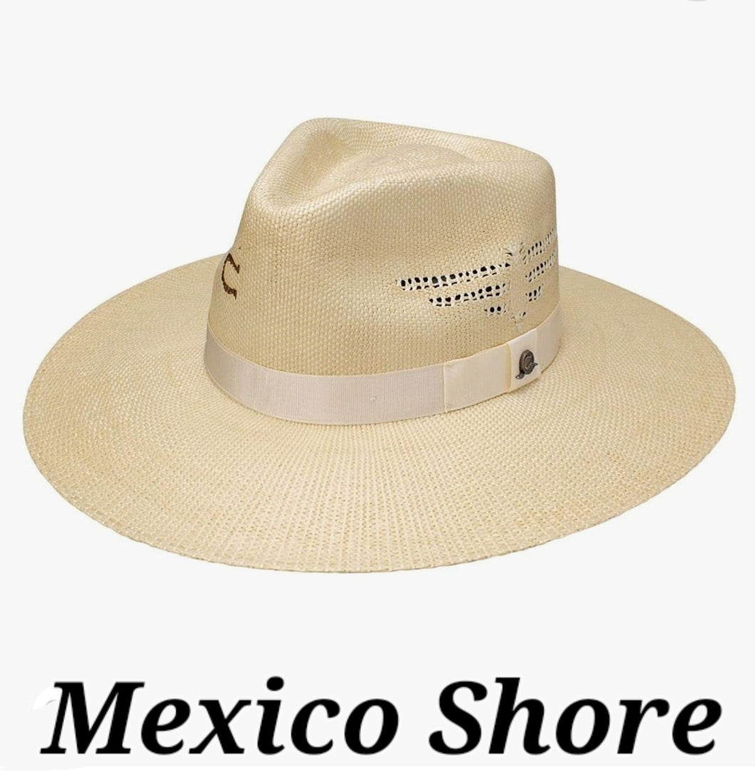 CHARLIE 1 HORSE - Mexico Shore!